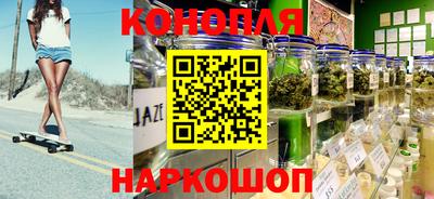 шишки Изобильный