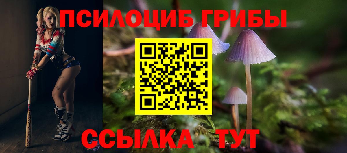 Кыштым  Псилоцибиновые грибы GOLDEN TEACHER  Вход с VPN 